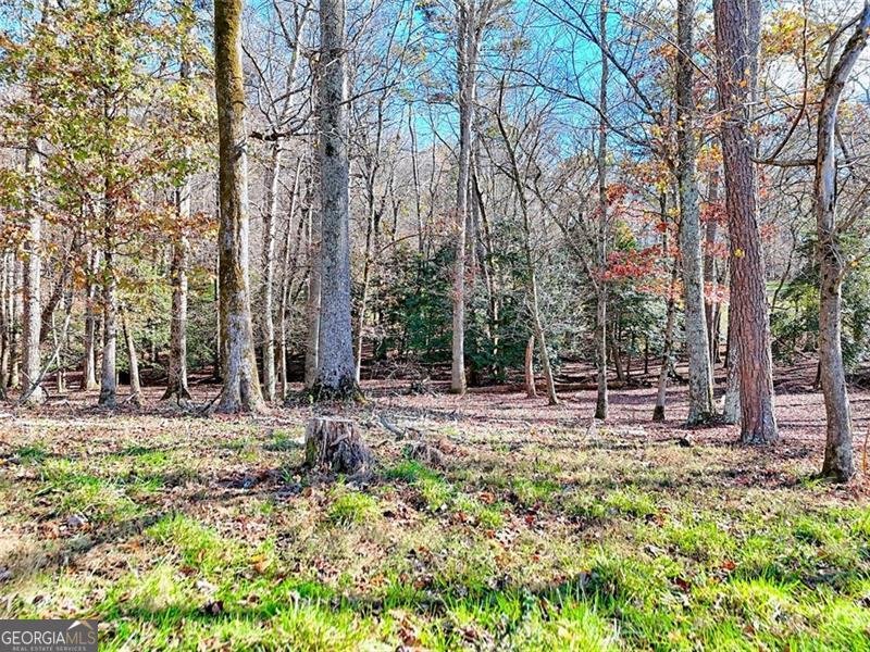 144 Old Battle Road Blairsville - 10