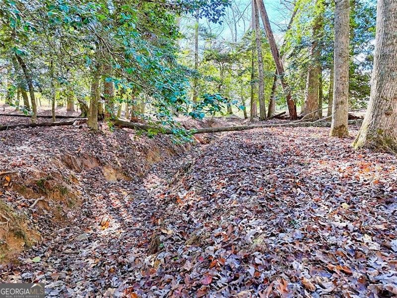 144 Old Battle Road Blairsville - 13
