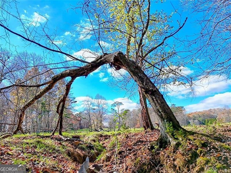 144 Old Battle Road Blairsville - 17