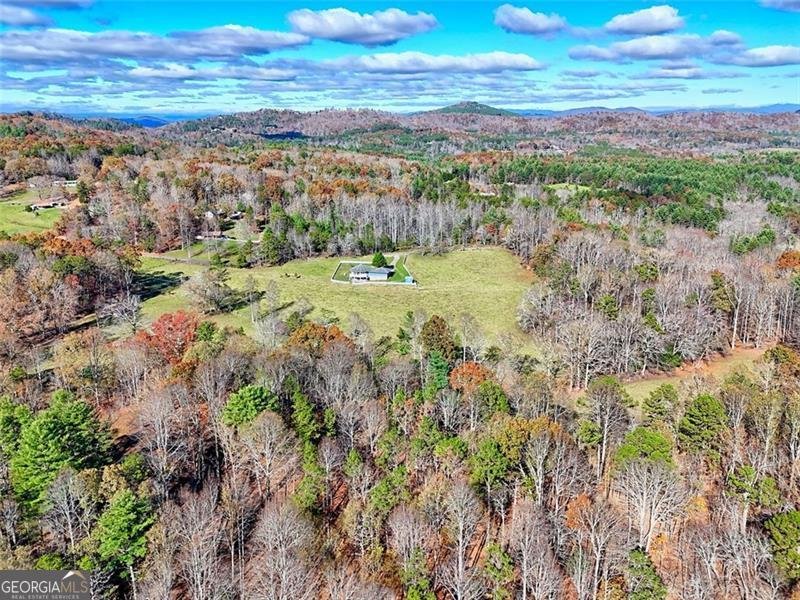 144 Old Battle Road Blairsville - 20