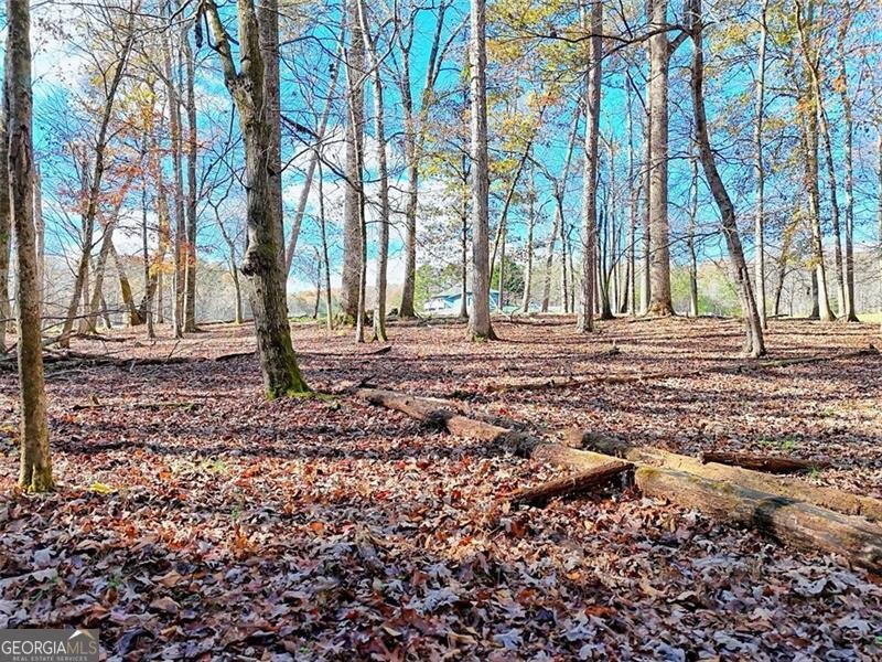 144 Old Battle Road Blairsville - 7
