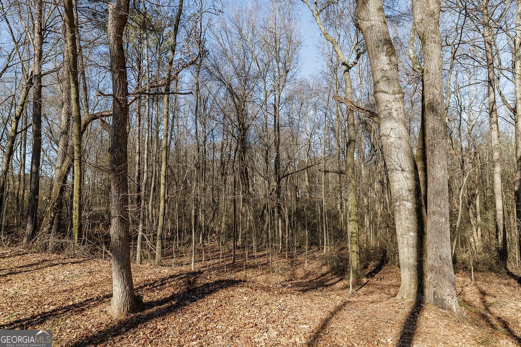 566 Hoke Hill Road Canon - 28