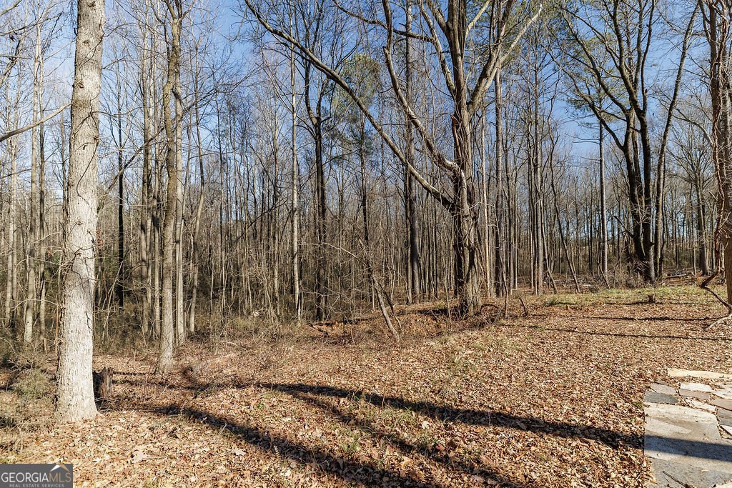 566 Hoke Hill Road Canon - 30