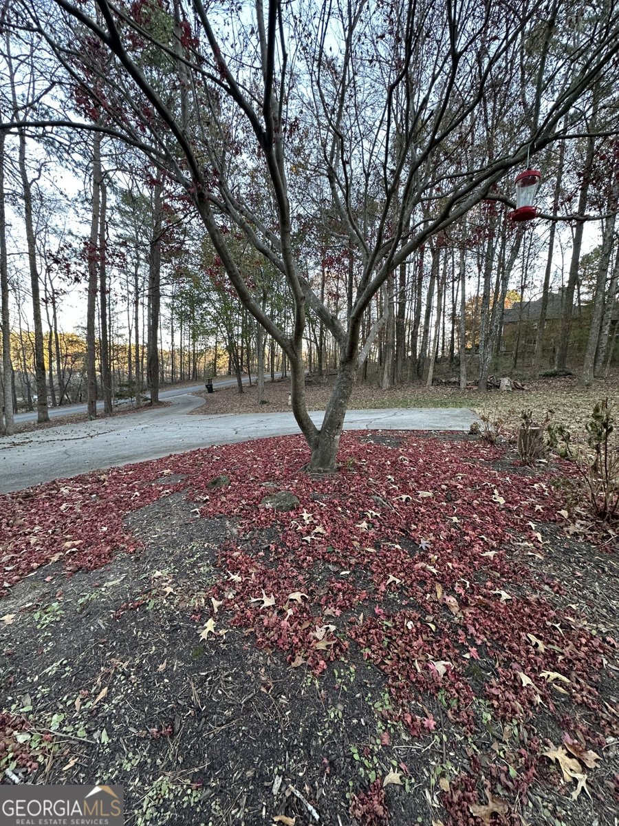 2720 Sandy Creek Circle Loganville - 4
