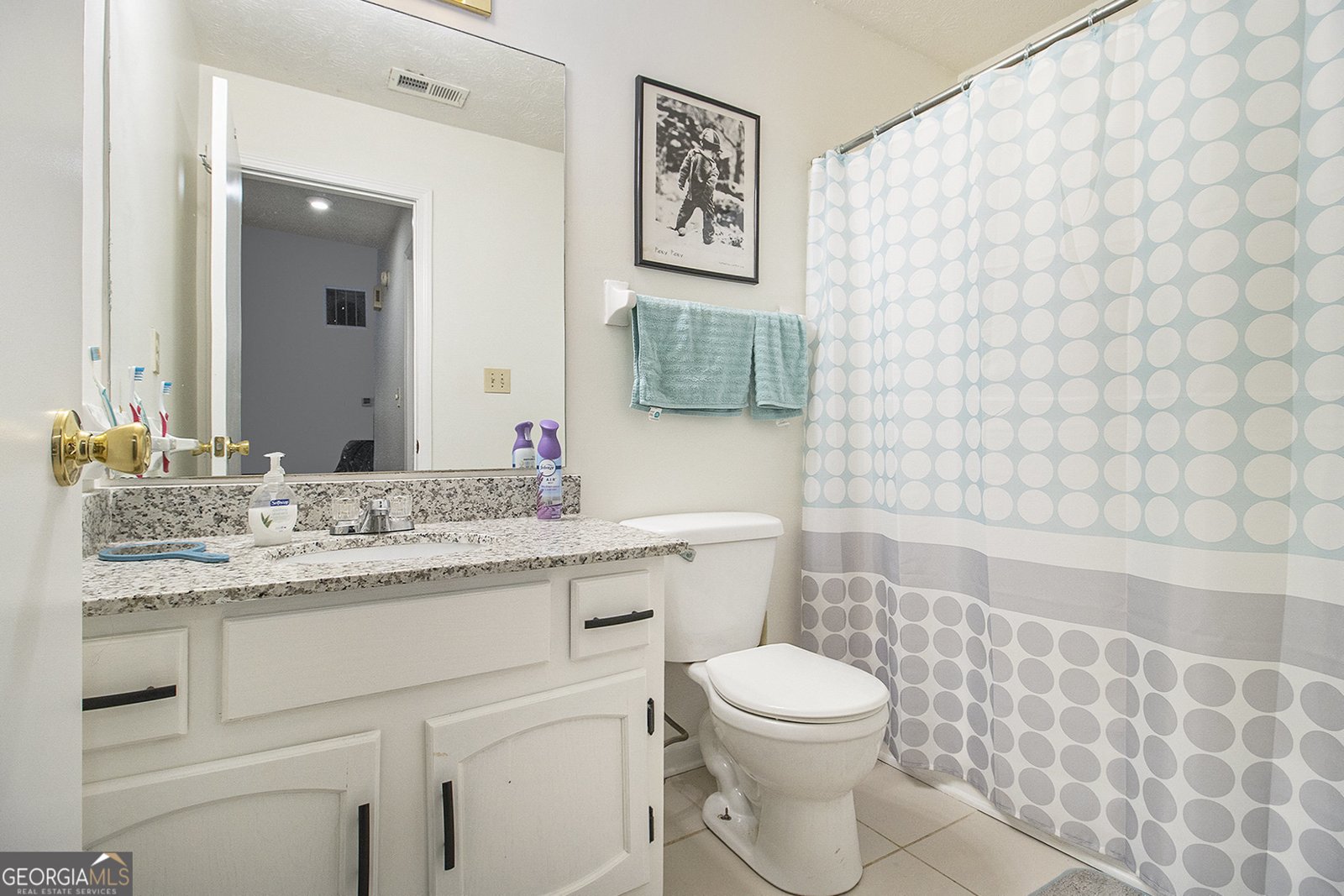 546 Paden Drive Lawrenceville - 28