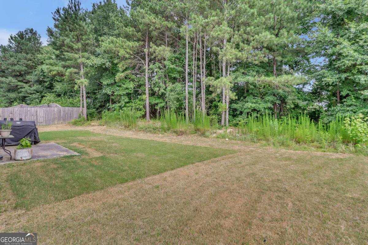 1354 Slate Bend Drive Dacula - 43
