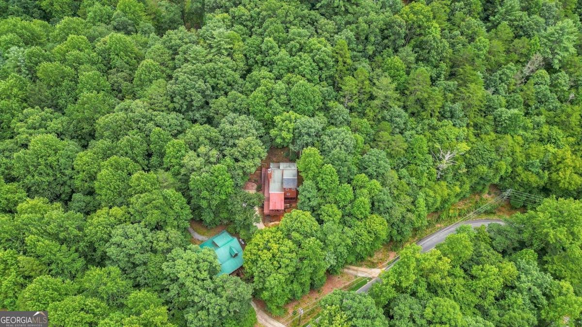 1122 Beaver Lake Drive Ellijay - 44