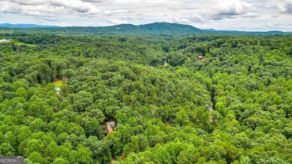 1122 Beaver Lake Drive Ellijay - 45