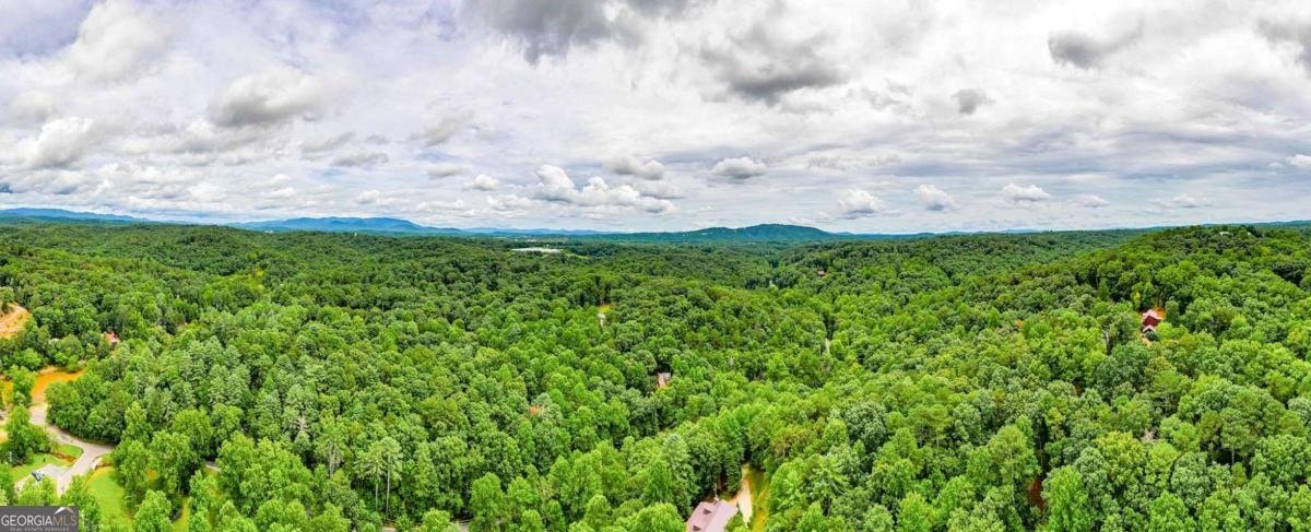 1122 Beaver Lake Drive Ellijay - 46