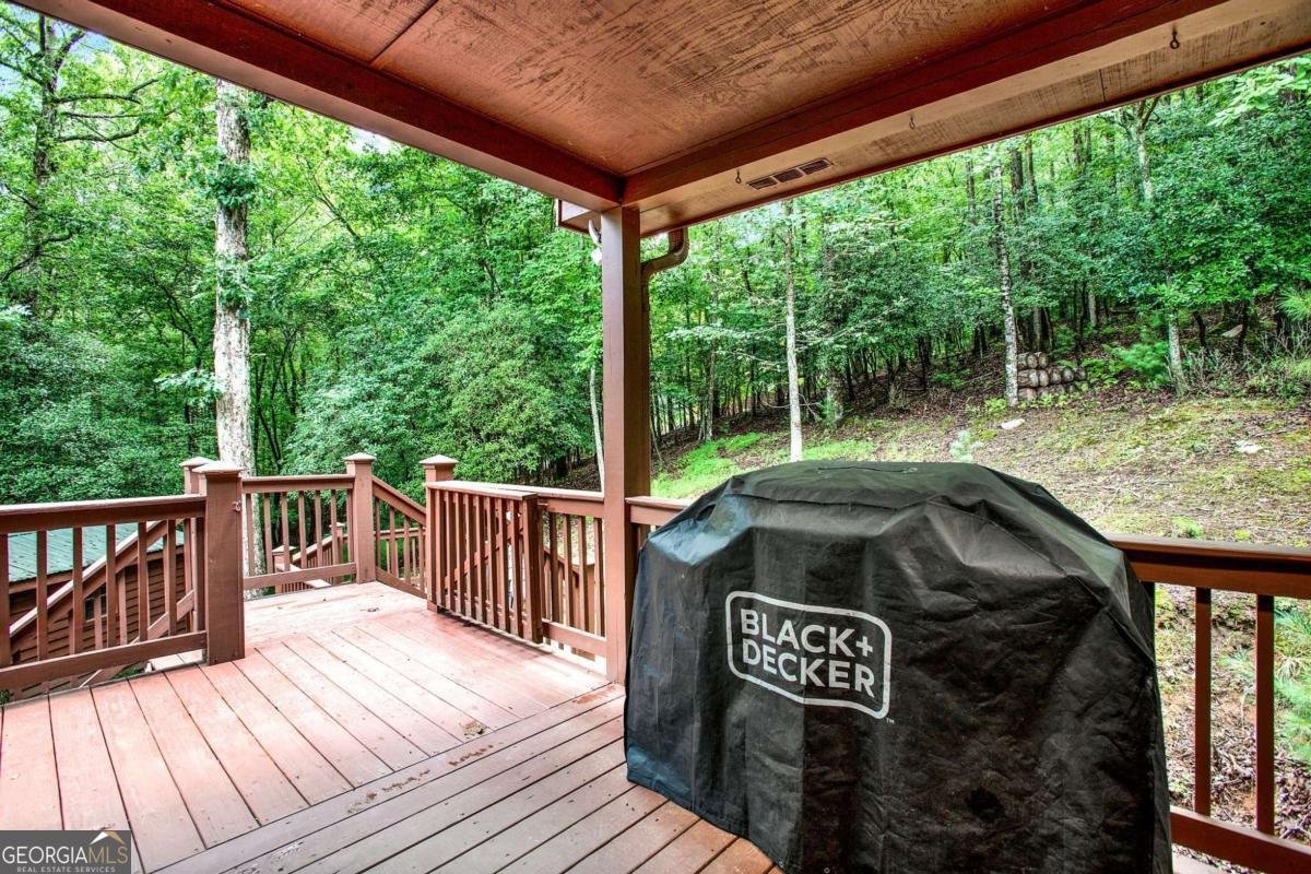 1122 Beaver Lake Drive Ellijay - 6