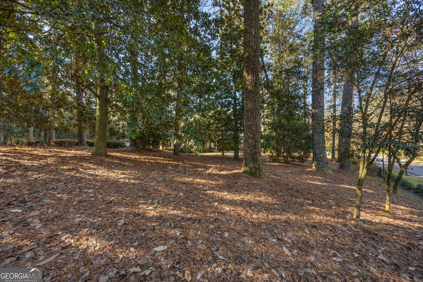 1790 Garraux Road Atlanta - 43