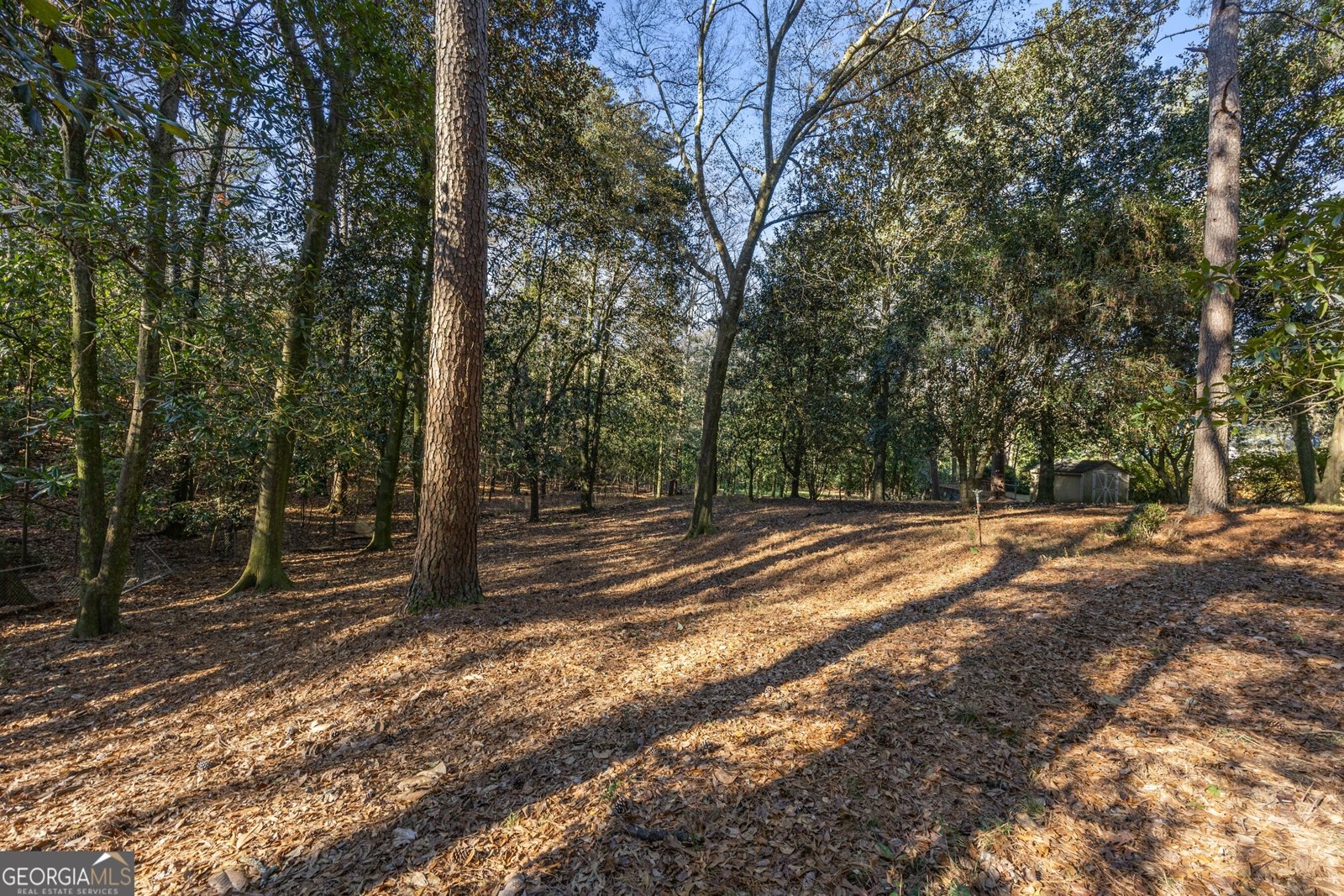 1790 Garraux Road Atlanta - 46