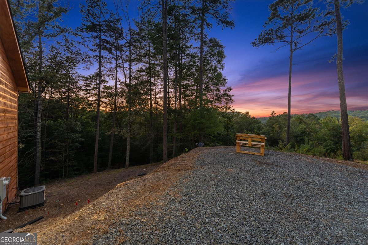 155 Hawks Ridge Drive Mineral Bluff - 58