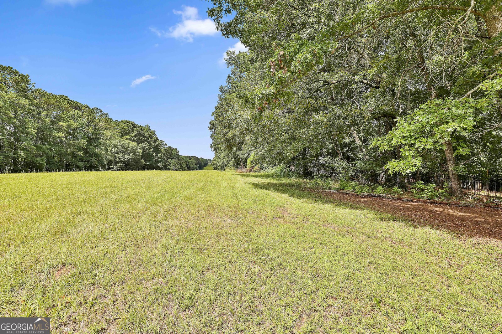 230 Hedgewick Way Tyrone - 74