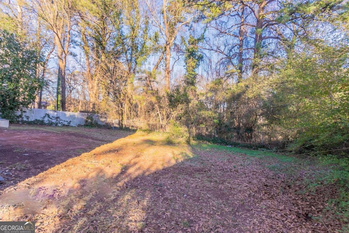 2196 Knoll Drive Decatur - 22