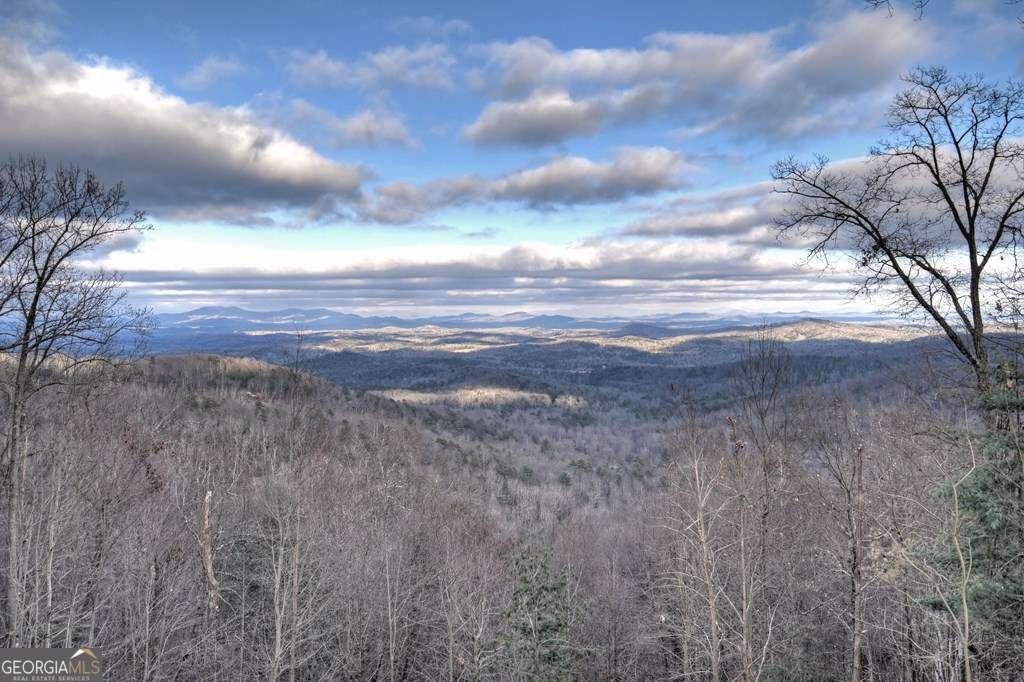 755 Brittany Drive Blue Ridge - 33