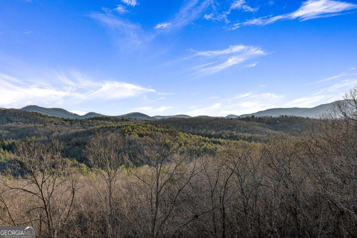 26 Three Springs Trail Morganton - 2