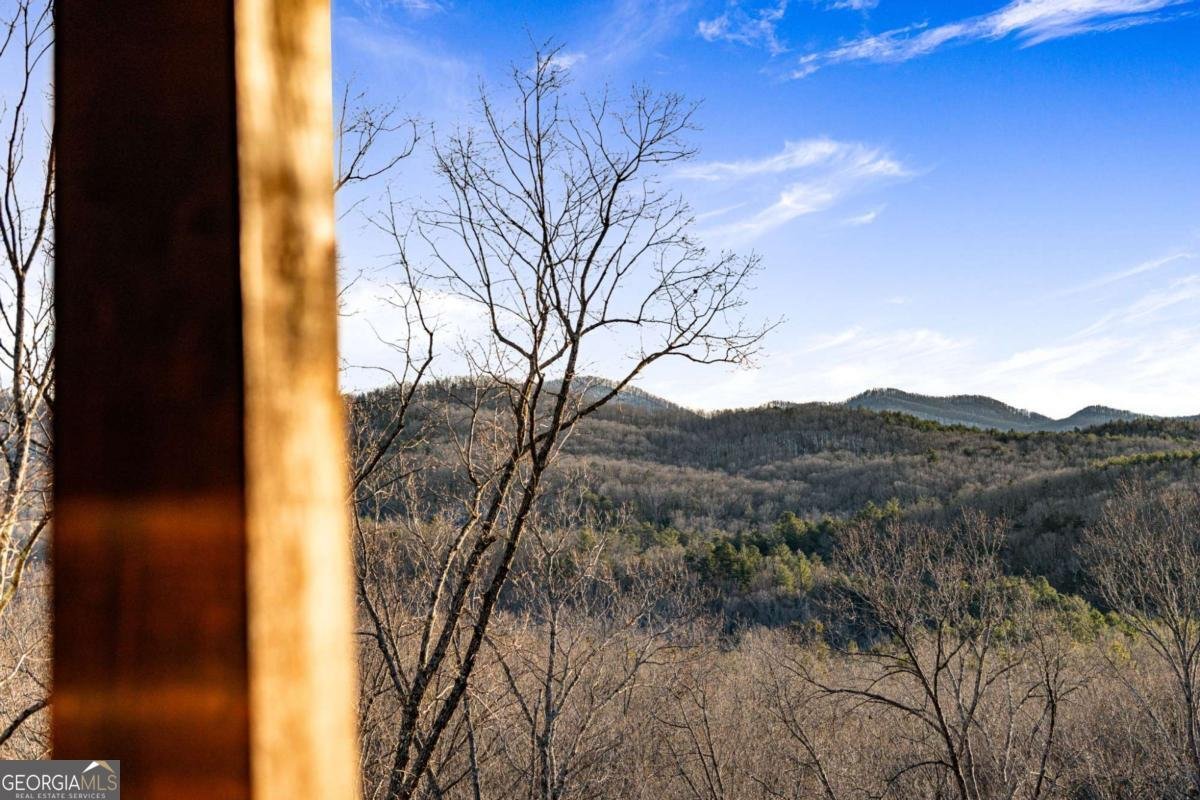 26 Three Springs Trail Morganton - 67