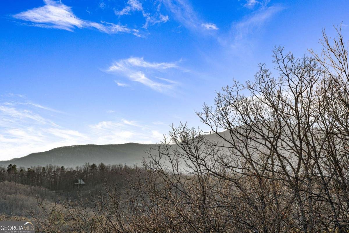 26 Three Springs Trail Morganton - 68