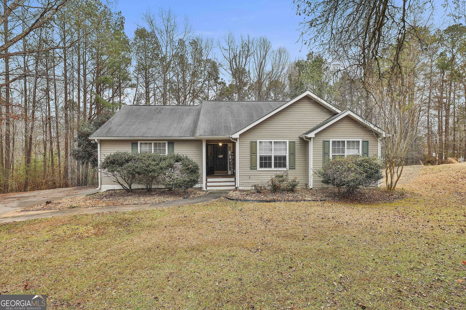 283 Sawgrass Manor Drive Newnan - 2