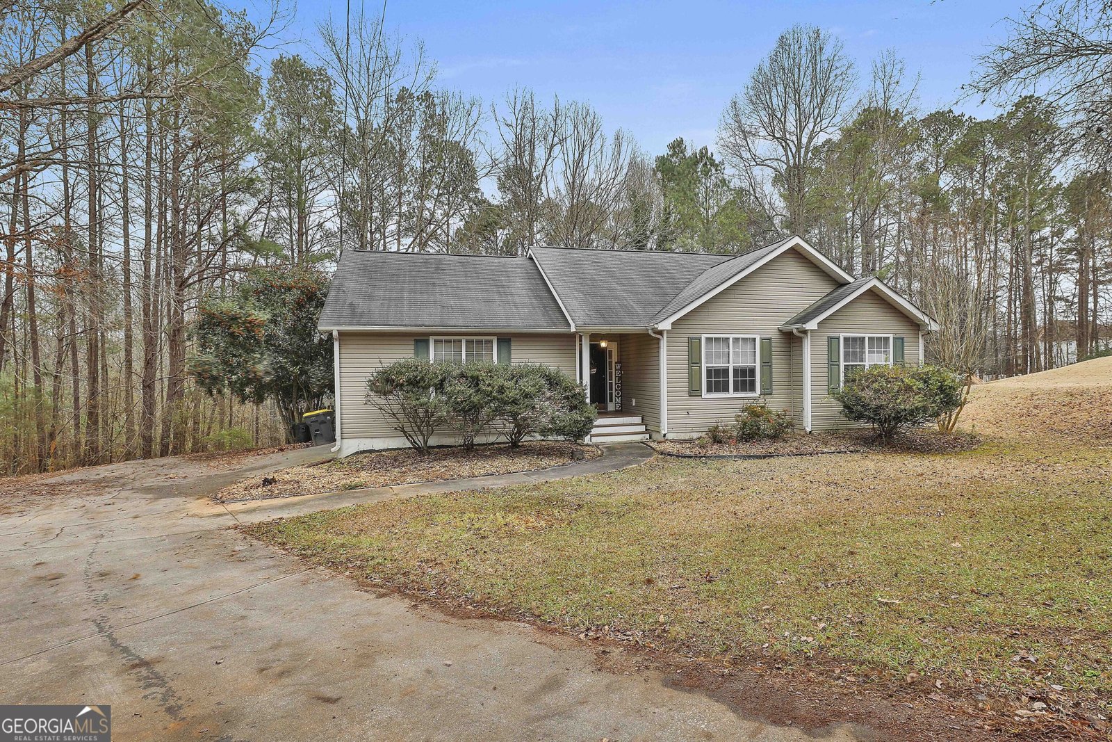 283 Sawgrass Manor Drive Newnan - 4