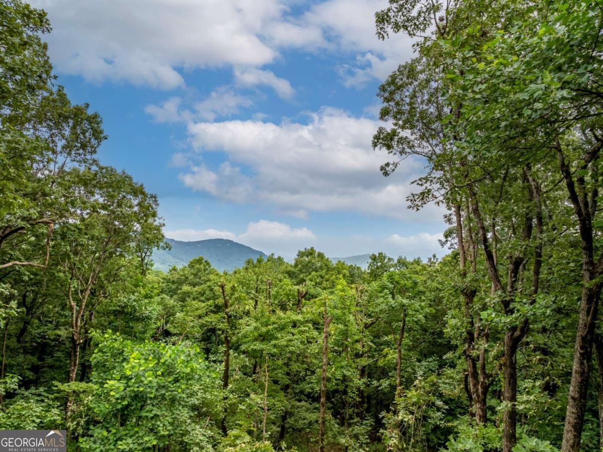 31 High Cliff Road Jasper - 2