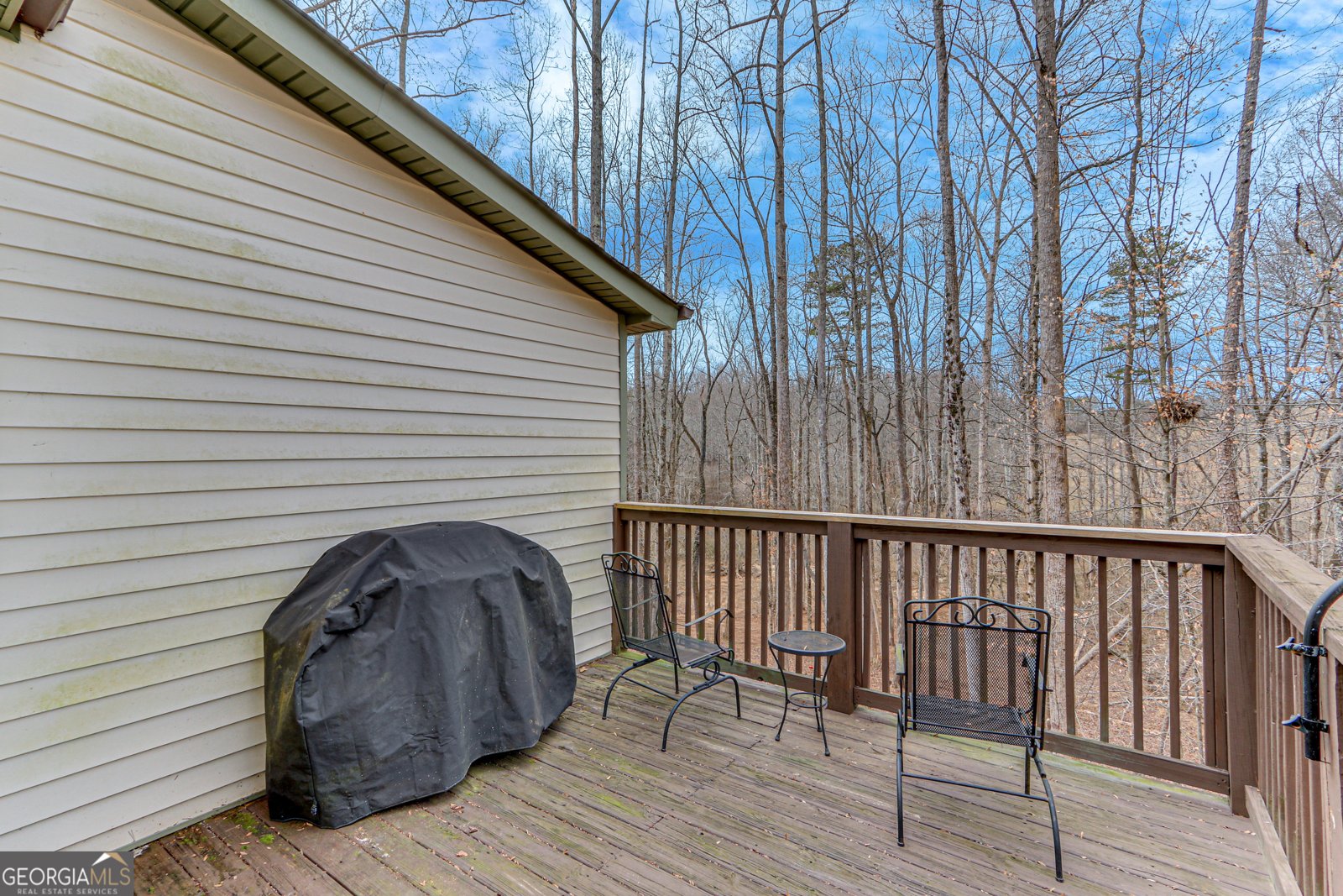 356 Hickory Springs Drive Murrayville - 19