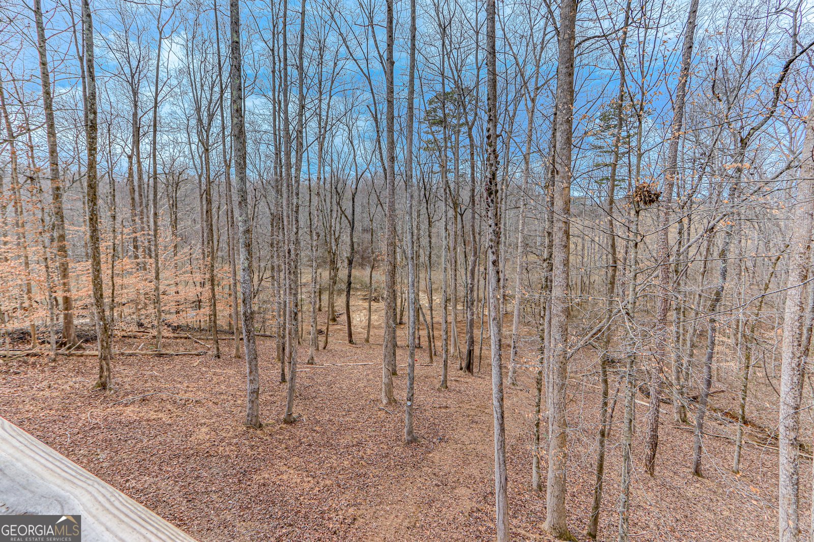 356 Hickory Springs Drive Murrayville - 20