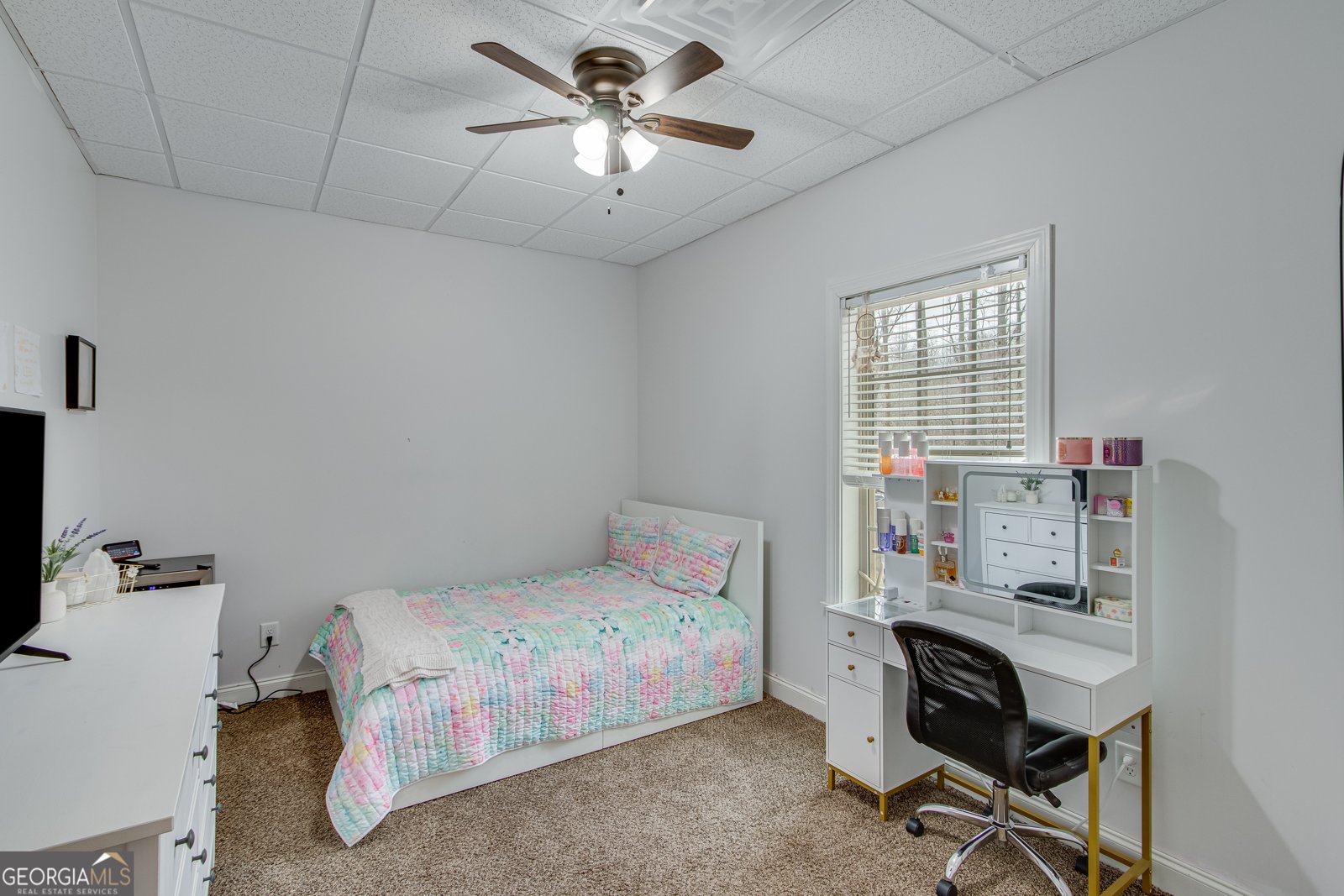 356 Hickory Springs Drive Murrayville - 38