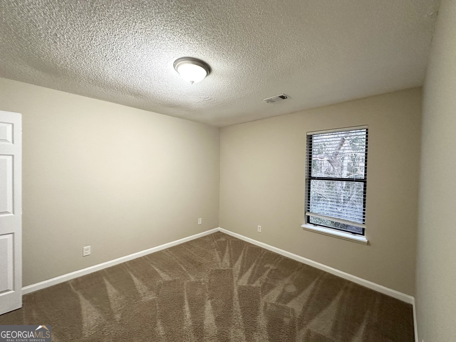 3880 Springleaf Court Stone Mountain - 12