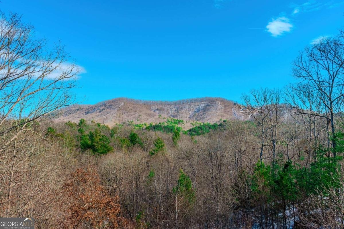 1023 Knollwood Road Mineral Bluff - 16