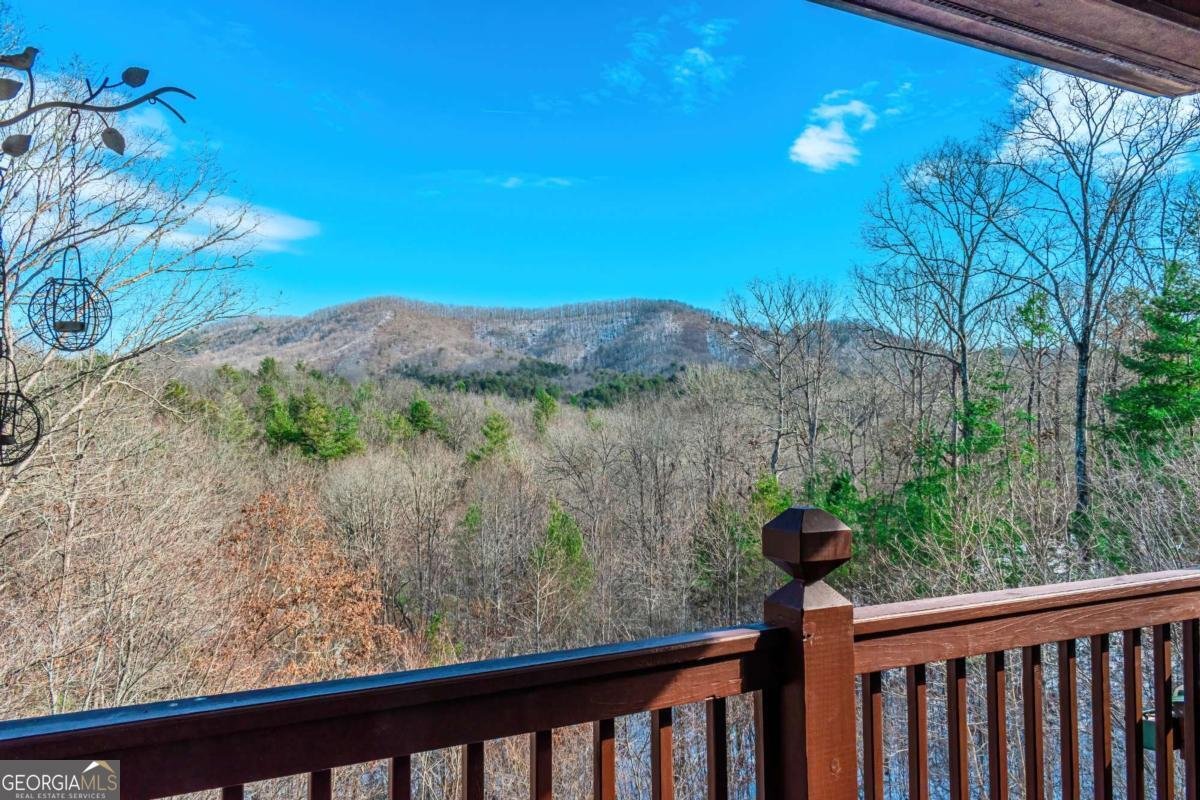 1023 Knollwood Road Mineral Bluff - 18
