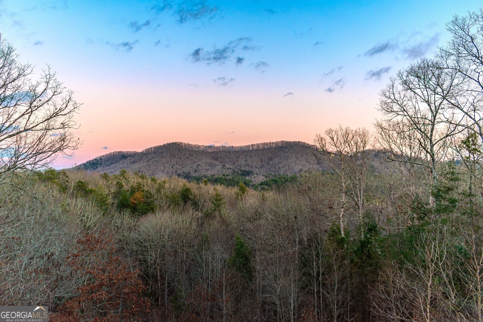 1023 Knollwood Road Mineral Bluff - 2