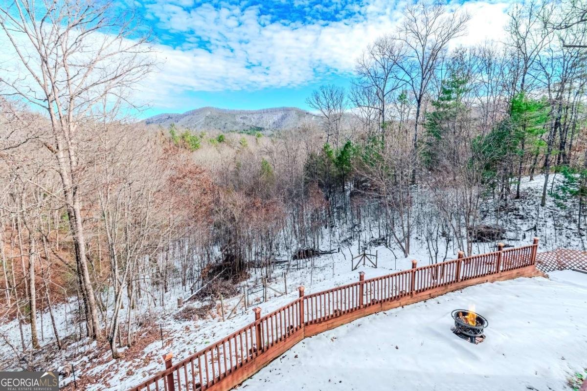 1023 Knollwood Road Mineral Bluff - 28