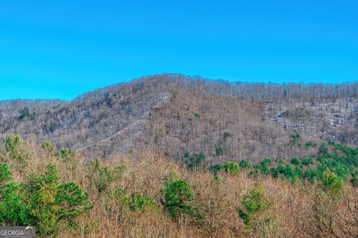 1023 Knollwood Road Mineral Bluff - 78