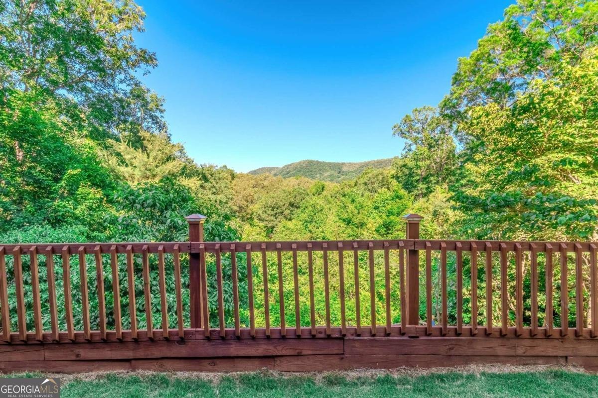 1023 Knollwood Road Mineral Bluff - 81