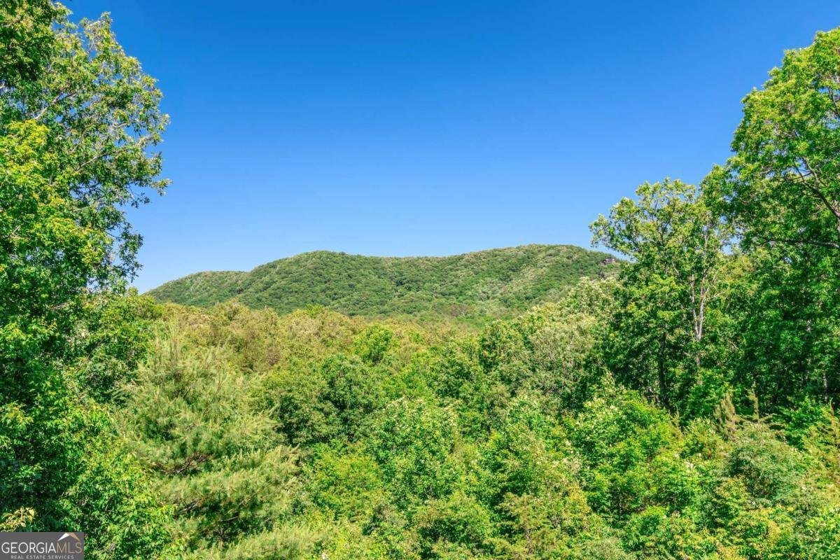 1023 Knollwood Road Mineral Bluff - 82