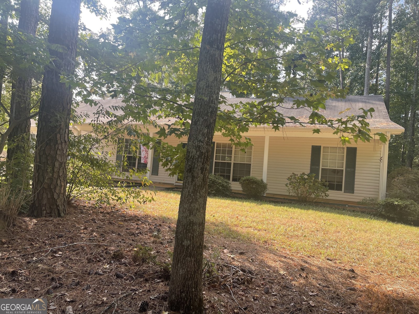 1276 Turner Church Road McDonough - 14