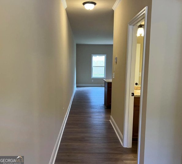203 Camellia Court Jackson - 2