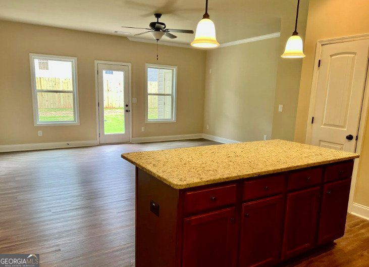 203 Camellia Court Jackson - 9