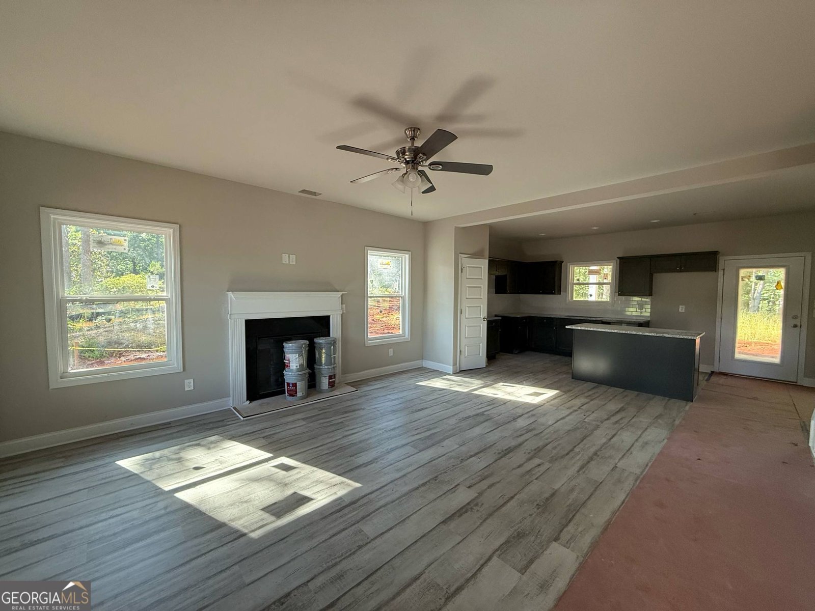 148 Asa Moseley Road McDonough - 4