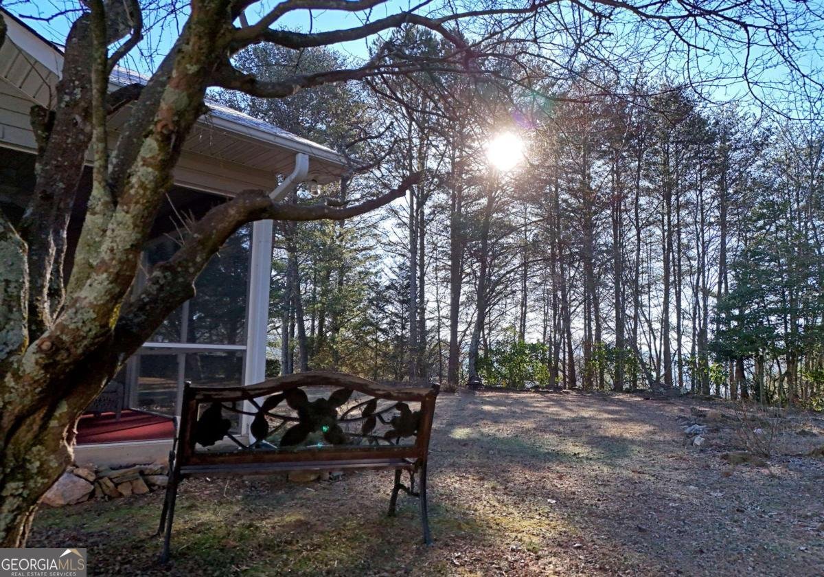 31 Westward Lane Blue Ridge - 3