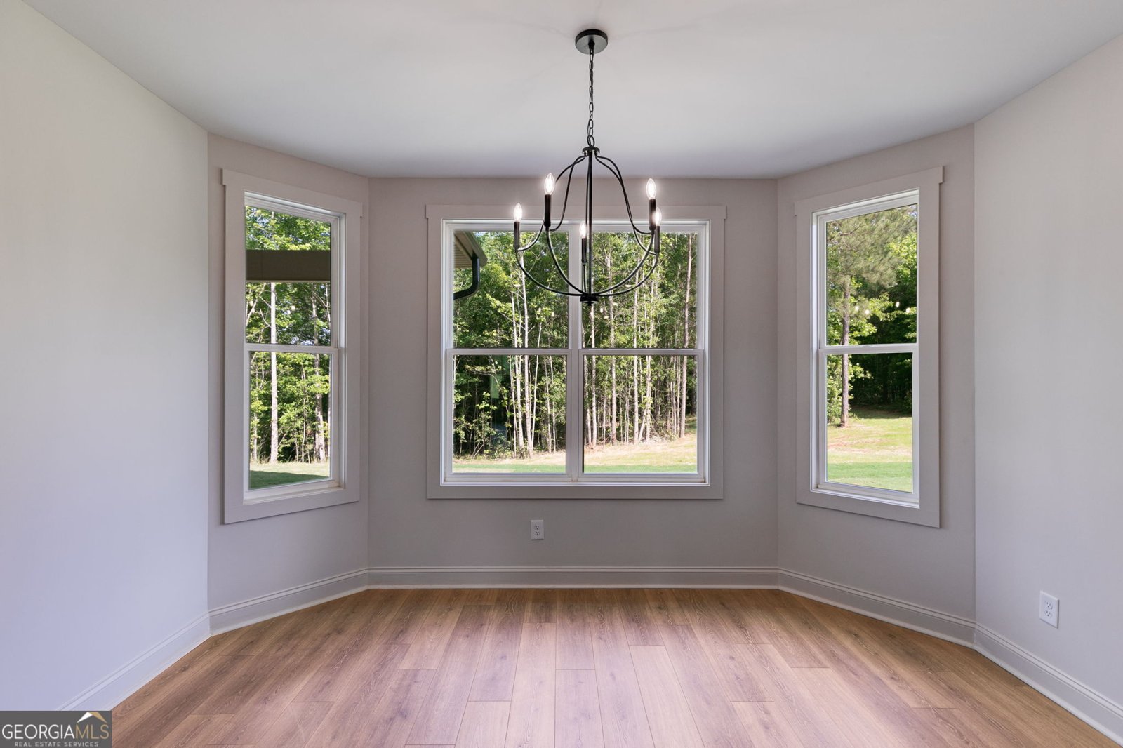 1593 Bethesda Church Road Carrollton - 19