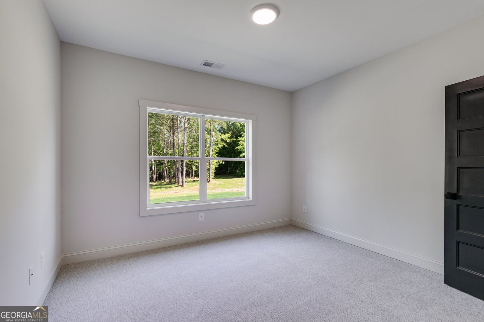 1593 Bethesda Church Road Carrollton - 29