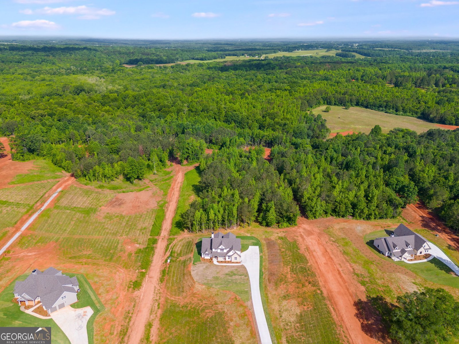 1593 Bethesda Church Road Carrollton - 4