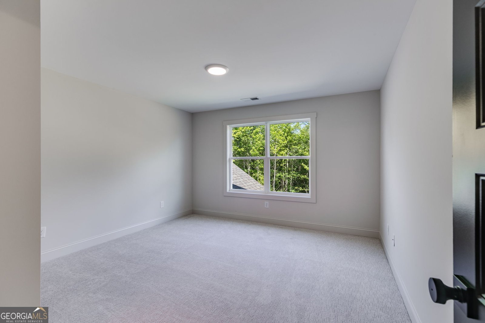 1593 Bethesda Church Road Carrollton - 44