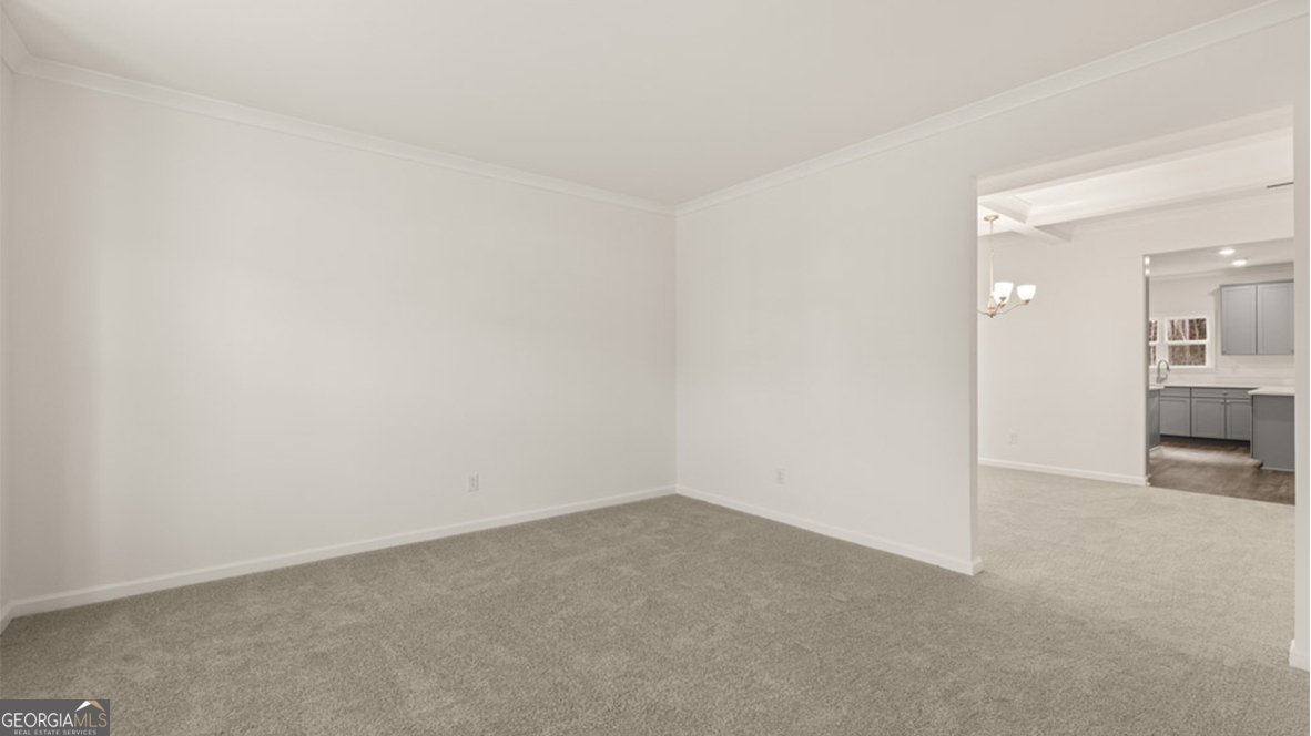 13232 Tolstoy Drive Covington - 23