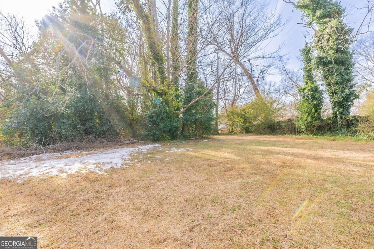 2473 Tyler Way Decatur - 29