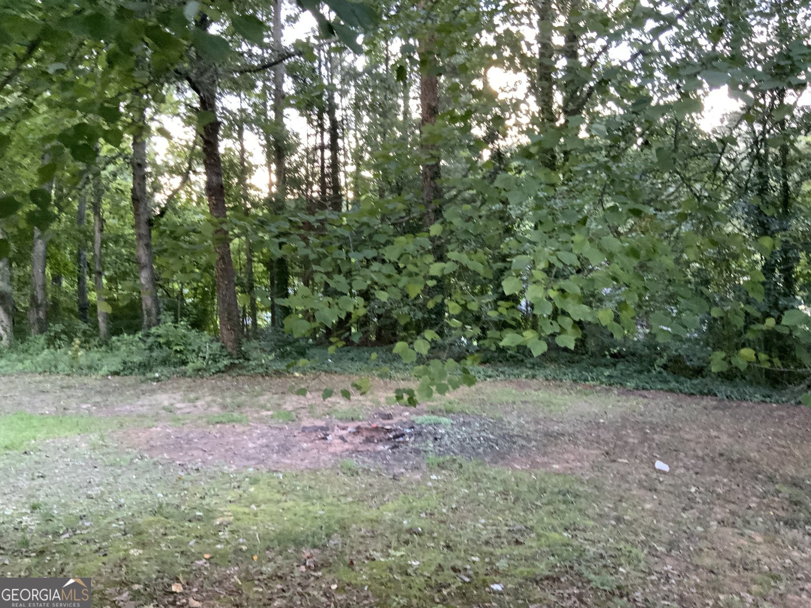 3746 Chapel Hill Road Douglasville - 7