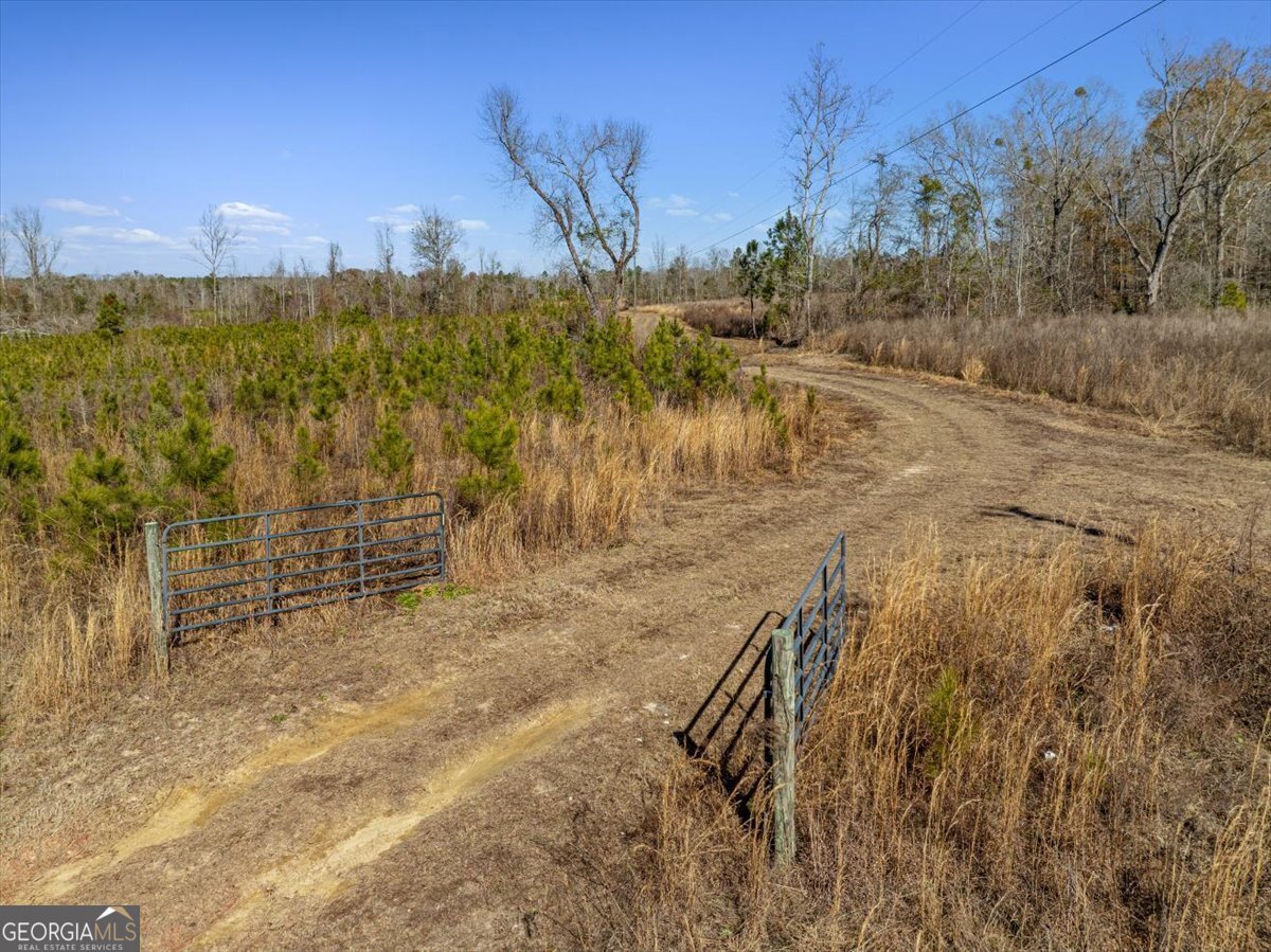 1644 Rigby Road Eastman - 48